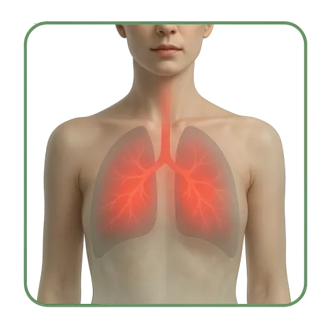 Medicamentos con Antibióticos