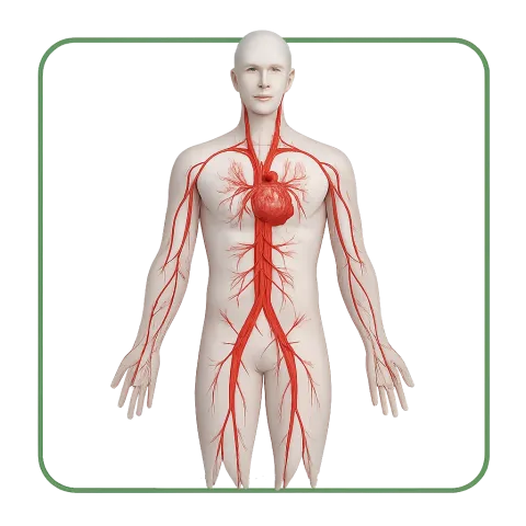 Medicamentos con Anticoagulantes