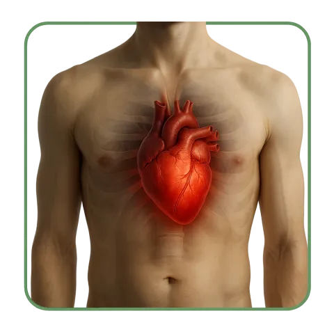 Medicamentos para las Cardiopatías