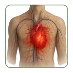 Enfermedades cardiovasculares