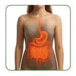 Gastrointestinal