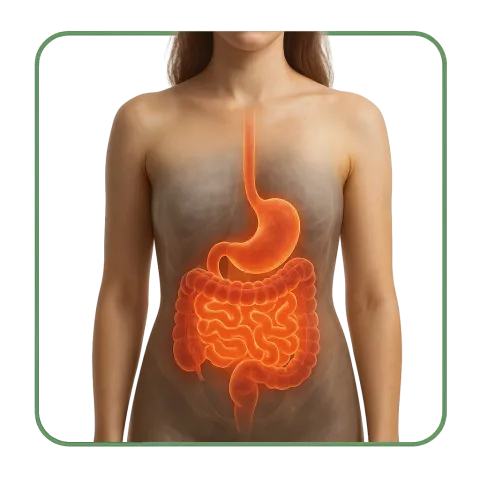 Medicamentos para el Gastrointestinal