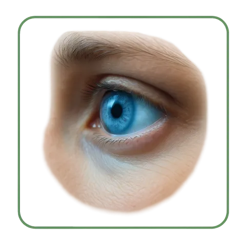 Medicamentos con Gotas oculares
