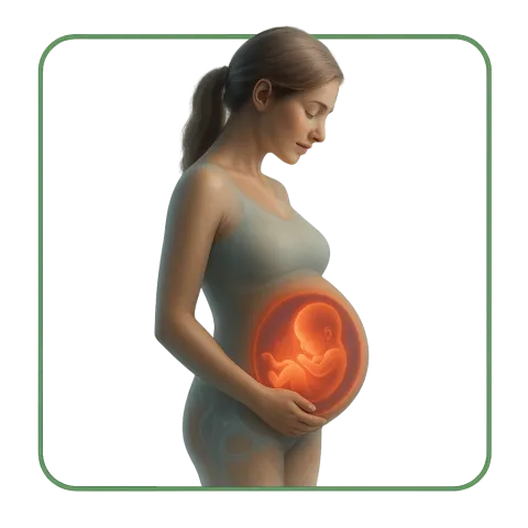 Medicamentos para la Salud femenina