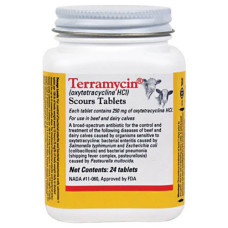 Terramicina 250 mg comprimidos